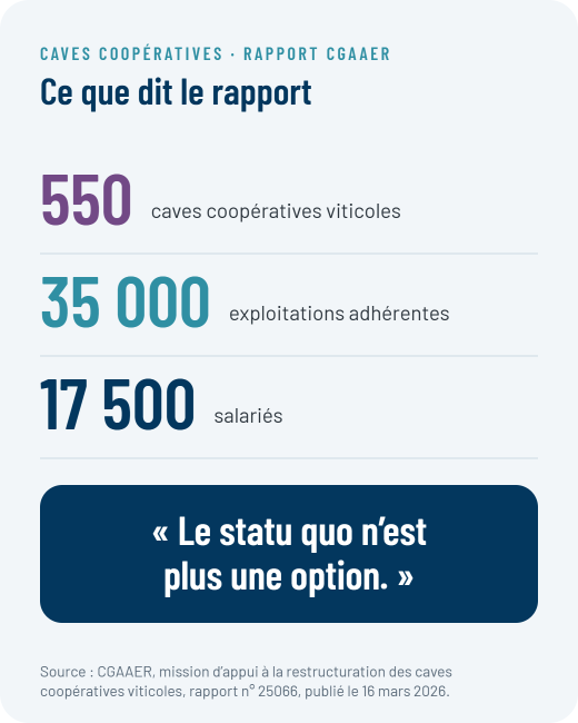 Rapport du CGAAER : 550 caves coopératives viticoles, 35 000 exploitations adhérentes, 17 500 salariés, « le statu quo n'est plus une option »