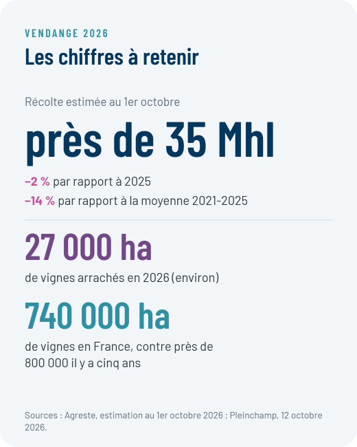 Vendange 2026 en chiffres�: pr�s de 35 millions d'hectolitres, environ 27�000 hectares de vignes arrach�s