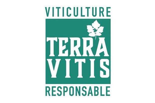 terra vitis